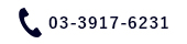 0339176231