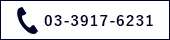 0339176231