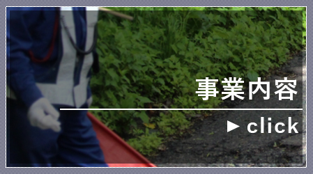 事業内容
